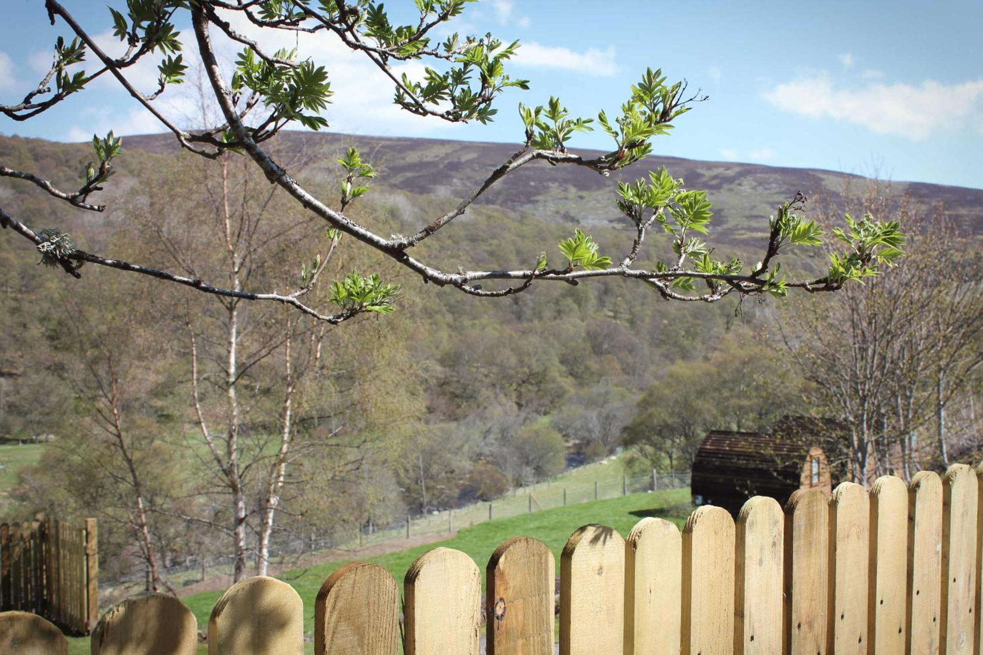 Howe Of Torbeg Ballater Luaran gambar