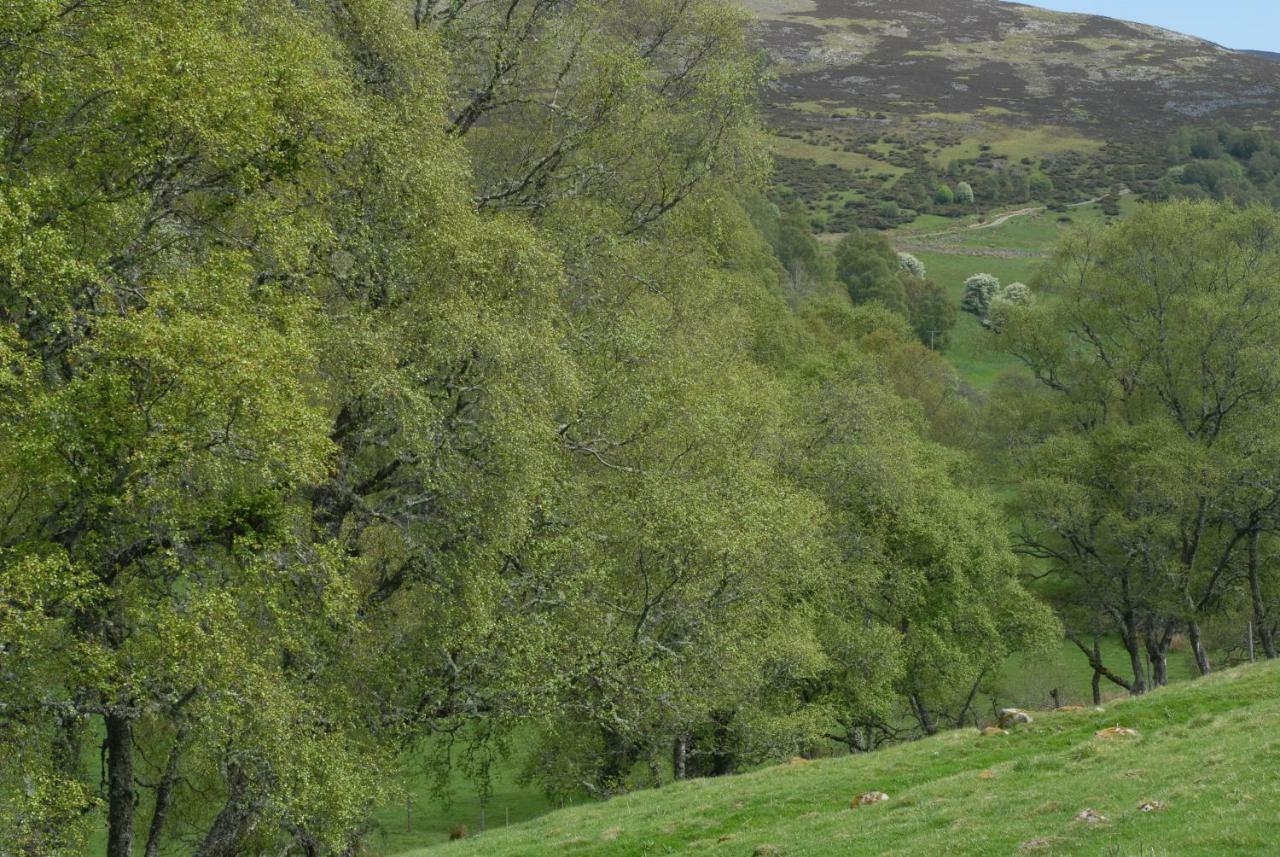 Howe Of Torbeg Ballater Luaran gambar